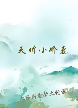 天价小娇妻 总裁的33日索情